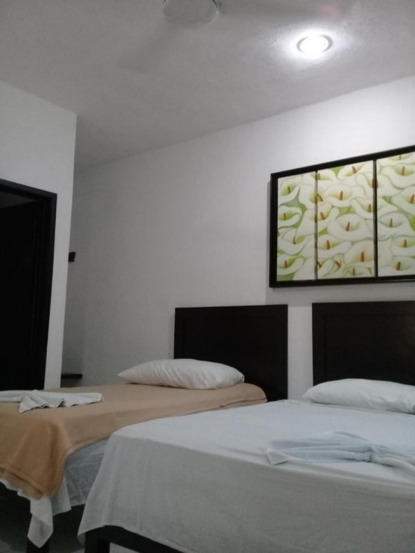 Hotel 41 Valladolid image 8