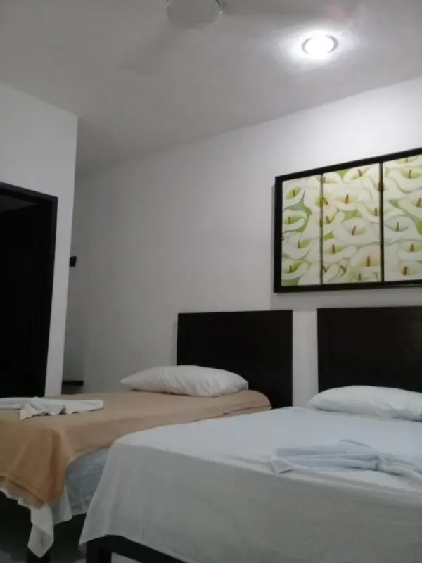 Hotel 41 Valladolid 8