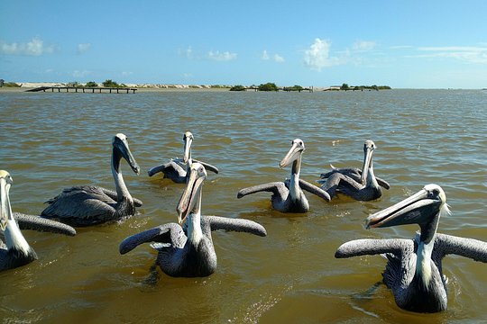 Tour image 6