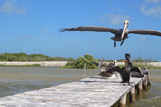 Tour image 5