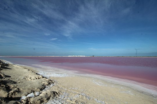 Tour image 6
